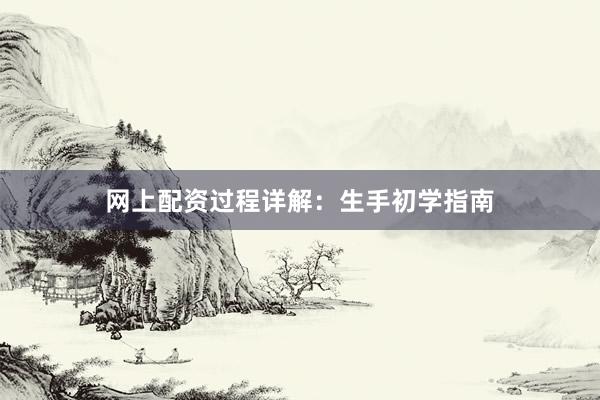 网上配资过程详解：生手初学指南