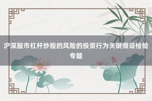 沪深股市杠杆炒股的风险的投资行为关键假设检验专题