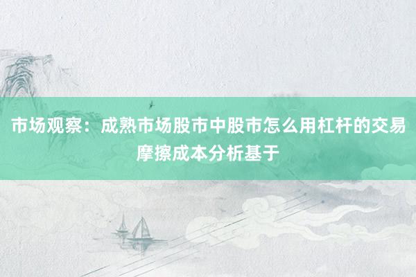 市场观察：成熟市场股市中股市怎么用杠杆的交易摩擦成本分析基于