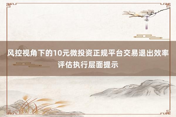 风控视角下的10元微投资正规平台交易退出效率评估执行层面提示