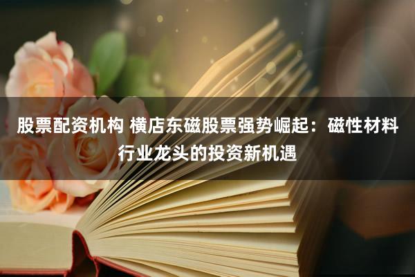 股票配资机构 横店东磁股票强势崛起：磁性材料行业龙头的投资新机遇