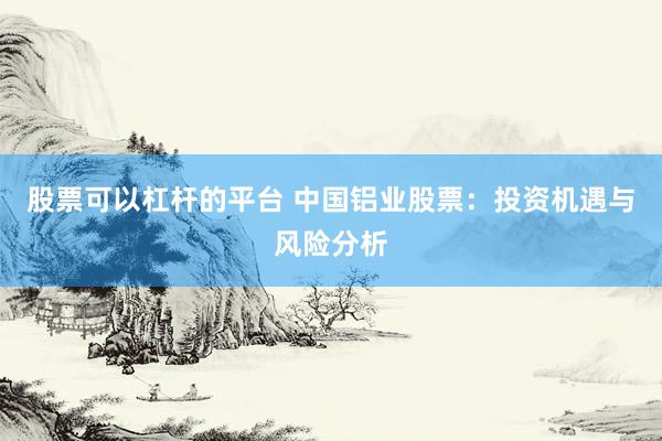 股票可以杠杆的平台 中国铝业股票：投资机遇与风险分析