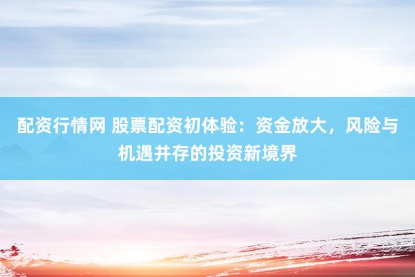 配资行情网 股票配资初体验：资金放大，风险与机遇并存的投资新境界